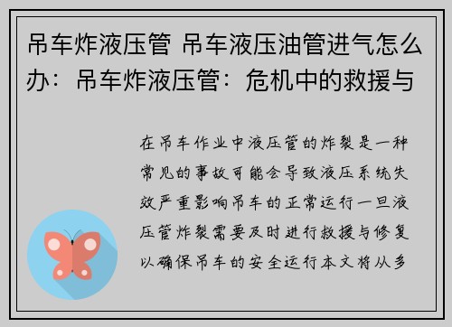 吊车炸液压管 吊车液压油管进气怎么办：吊车炸液压管：危机中的救援与修复