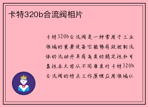 卡特320b合流阀相片